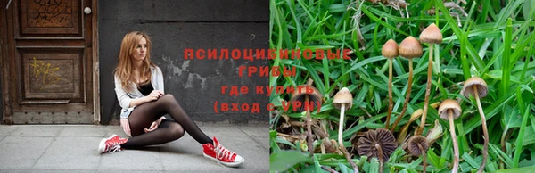альфа пвп Армянск