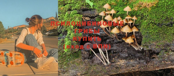 мескалин Арсеньев